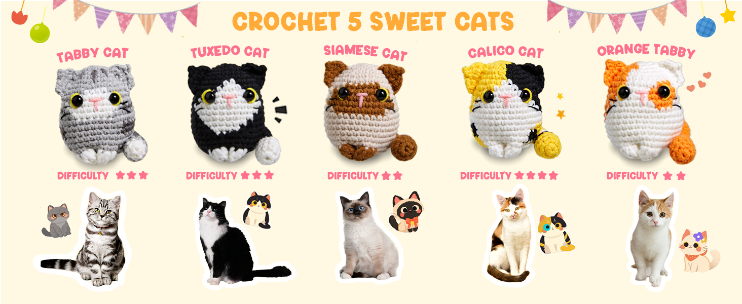 106c5a44 1191 4fb9 b449 3b13cae4b734. CR001464600 PT0 SX1464 V1