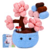 主图-06 Best-selling crochet material package for making small potted plants, egg-shaped decorations for the office, mini woolen knitted gifts, wool balls