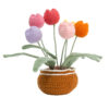 Crochet material pack for hand-knitting DIY large potted plant wool table decoration item