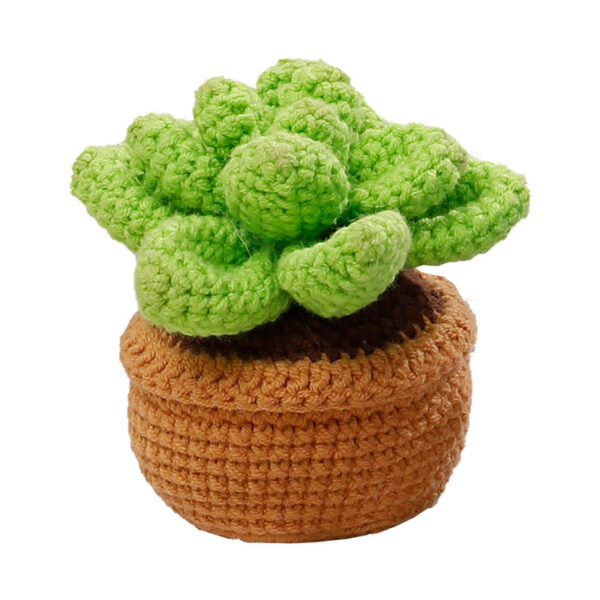 Handmade DIY succulent potting material pack - Knitted with wool - Desktop decorative item