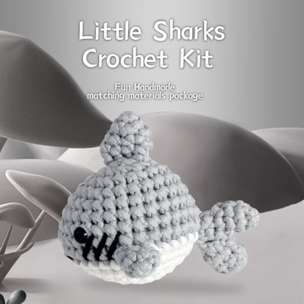 Beginner Crochet Kit