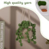 Hand-knitted Autumn Fragrance Green Bean Bean Hanging Basket Decorative Kit Knitting Needle Materials Pack