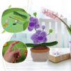主图-08 New potting hook knitting material pack - realistic hand-knitted mini orchid for home decoration as a centerpiece