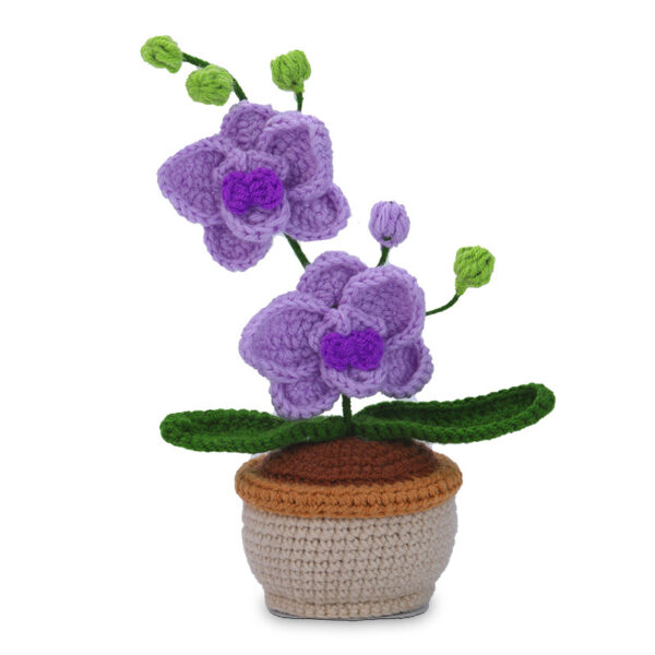 主图-10 New potting hook knitting material pack - realistic hand-knitted mini orchid for home decoration as a centerpiece